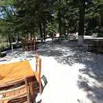Bujtina Uji I Panjes, Llogara