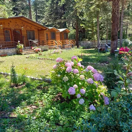 Bujtina Uji I Panjes, Llogara