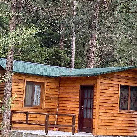 Hotel Bujtina Uji I Panjes, Log Dukat