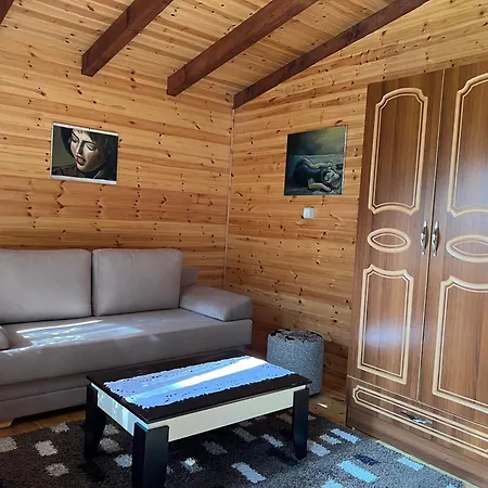 Hotel Bujtina Uji I Panjes, Log