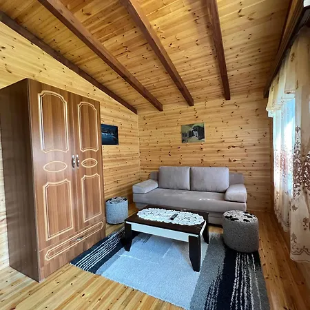 Bujtina Uji I Panjes, Log Hotel