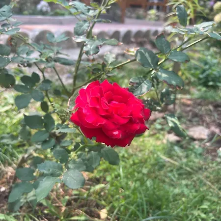 Hotel Bujtina Uji I Panjes, Llogara *