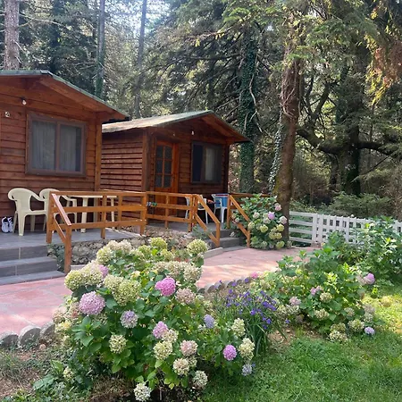 Bujtina Uji I Panjes, Llogara *