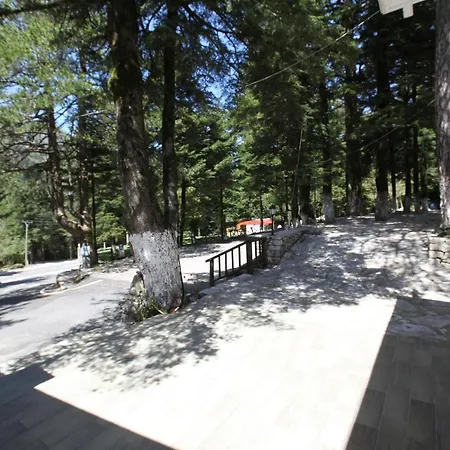Bujtina Uji I Panjes, Log Hotel