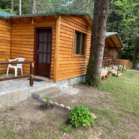 Hotel Bujtina Uji I Panjes, Log