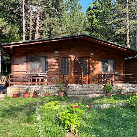 Bujtina Uji I Panjes, Log Hotel