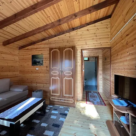 Bujtina Uji I Panjes, Log Hotel