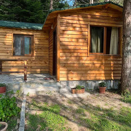 Hotel Bujtina Uji I Panjes, Log *