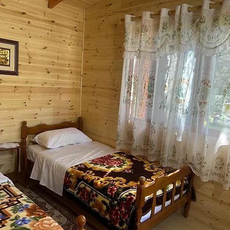 Hotel Bujtina Uji I Panjes, Log *