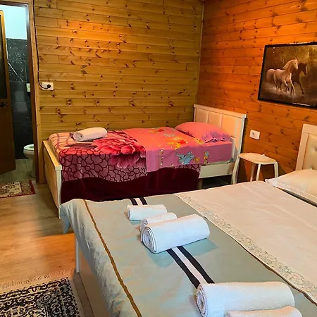 Hotel Bujtina Uji I Panjes, Log