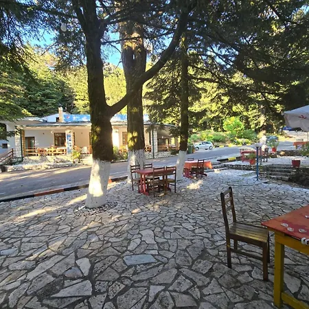 Bujtina Uji I Panjes, Llogara *