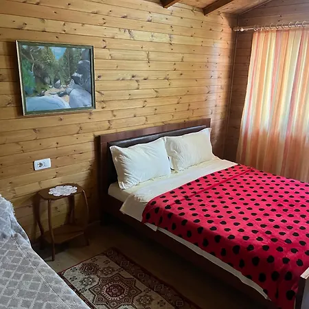 Bujtina Uji I Panjes, Llogara *