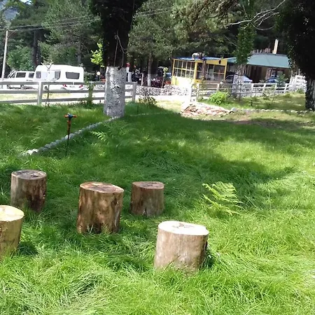 Bujtina Uji I Panjes, Log Hotel