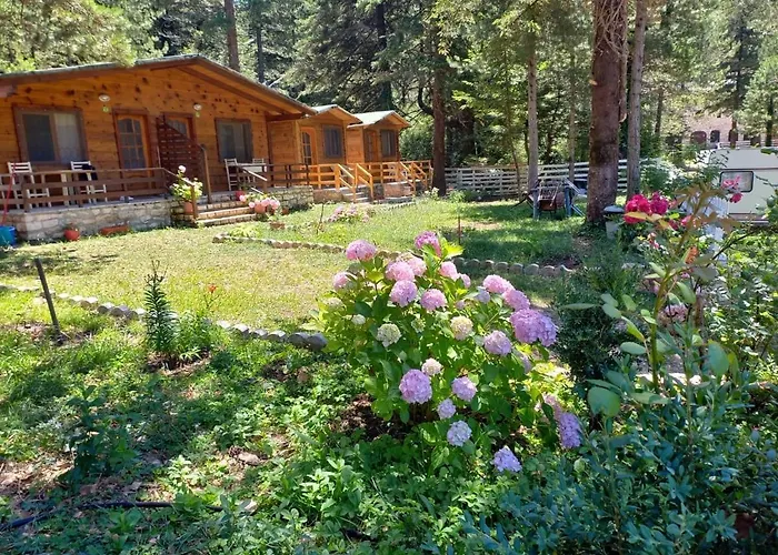 Bujtina Uji I Panjes, Llogara