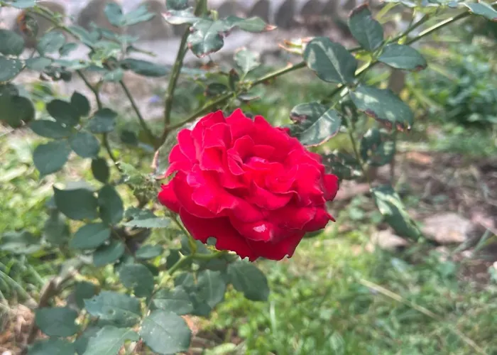 Hotel Bujtina Uji I Panjes, Llogara *